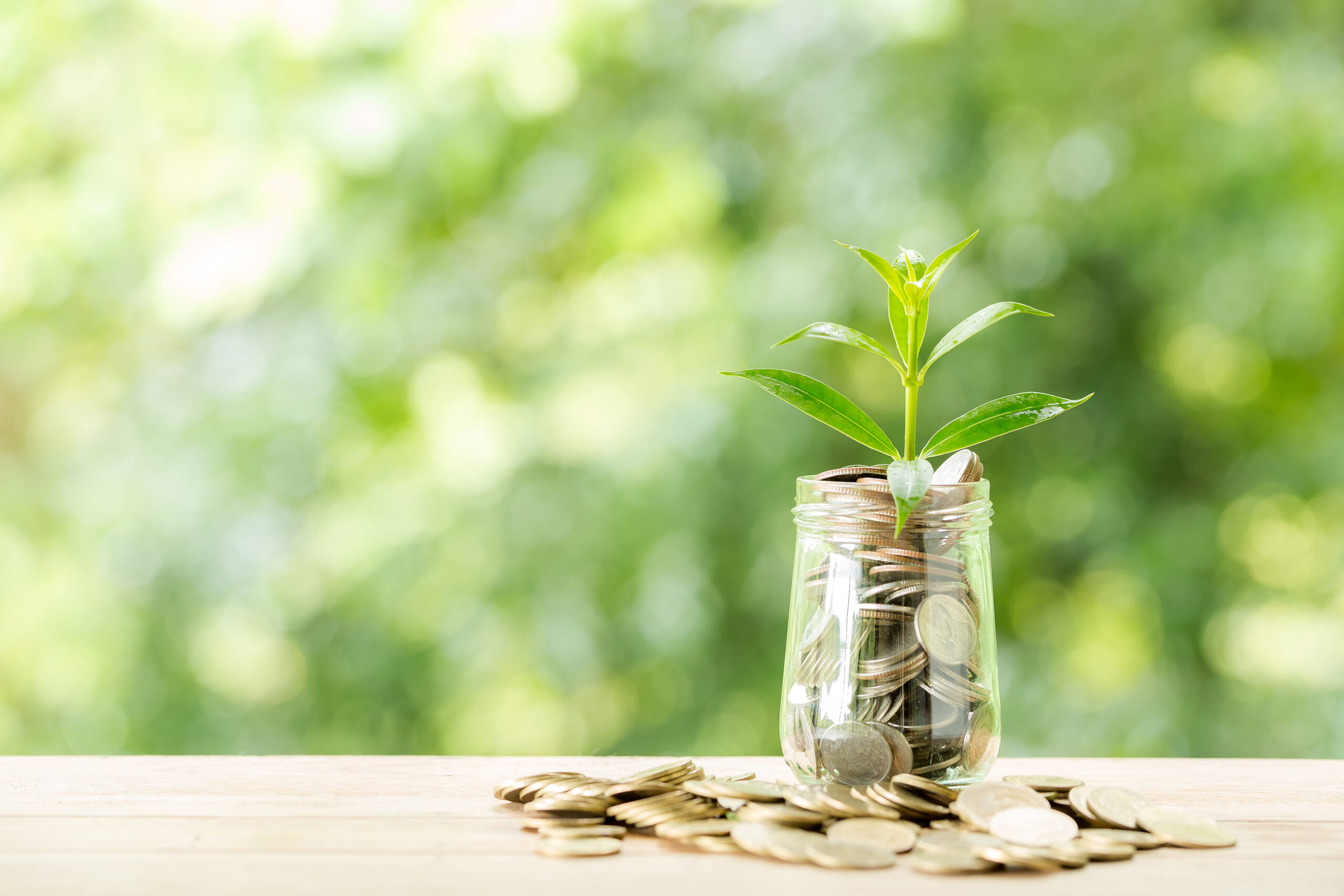 Plant growing from coins in the glass jar on blurred green natur