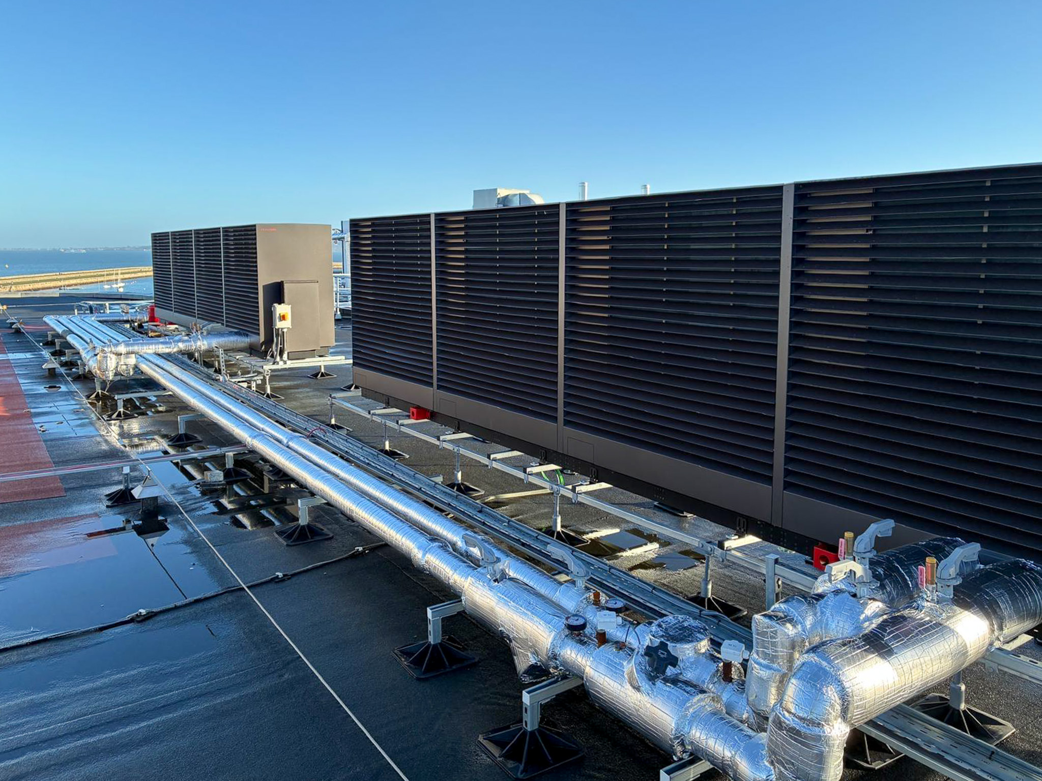 WhatsApp Image 2025-11-20 at 07.46.42